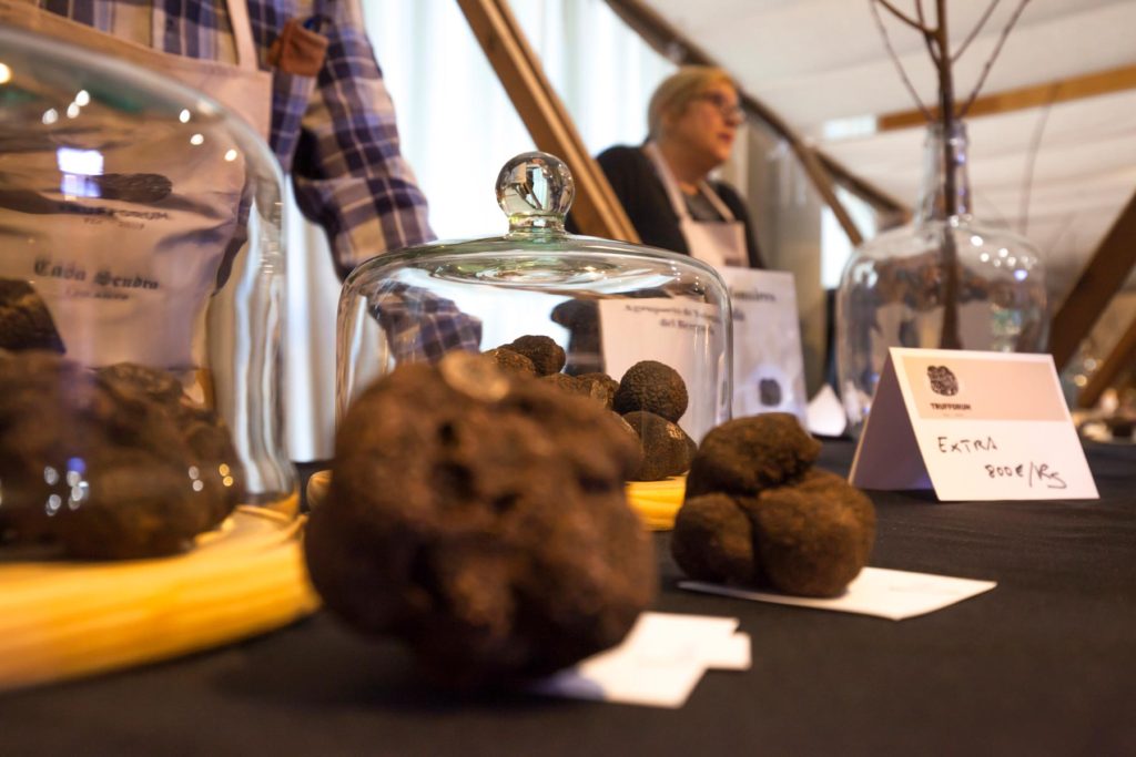 Gastronomic notes and the “Trufforum” fair in Vic